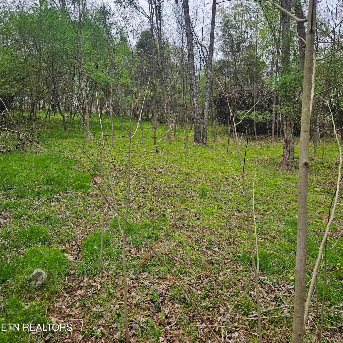 1919 Chelaque Way, Mooresburg, TN 37811 - #1