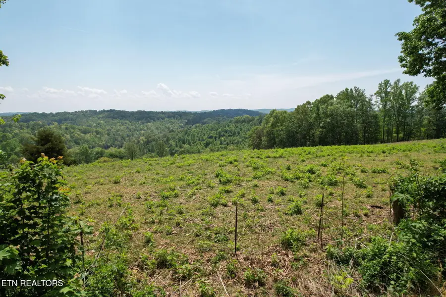 Cove Point Rd, Lafollette, TN 37766 - #2