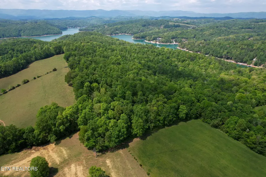 Cove Point Rd, Lafollette, TN 37766 - #3