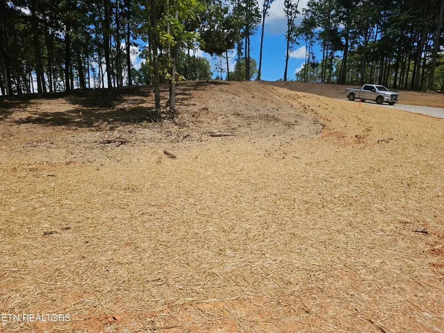 132 Eagles Crest Court, Loudon, TN 37774 - #2