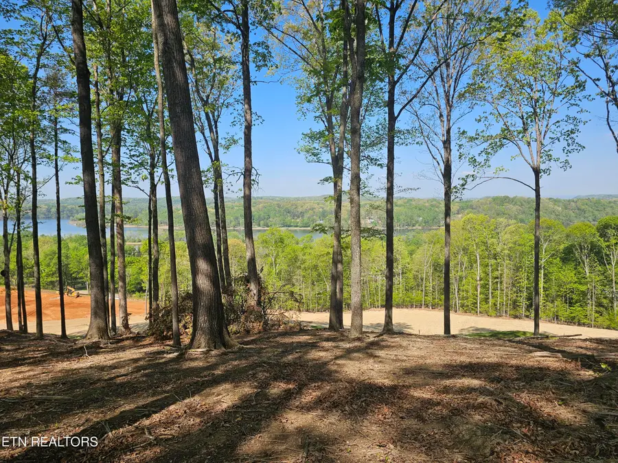 132 Eagles Crest Court, Loudon, TN 37774 - #3