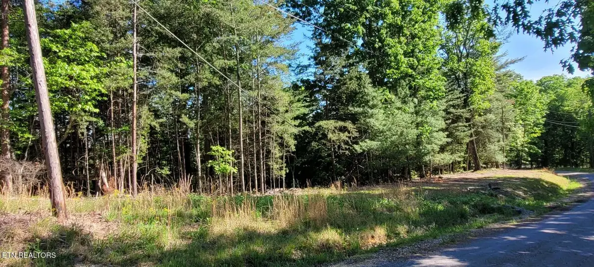 1.23 Acres Dogwood Court, Spring City, TN 37381 - #1