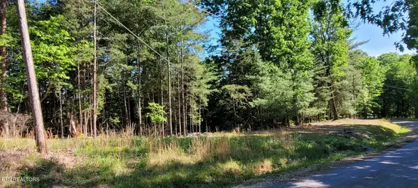 1.23 Acres Dogwood Court, Spring City, TN 37381