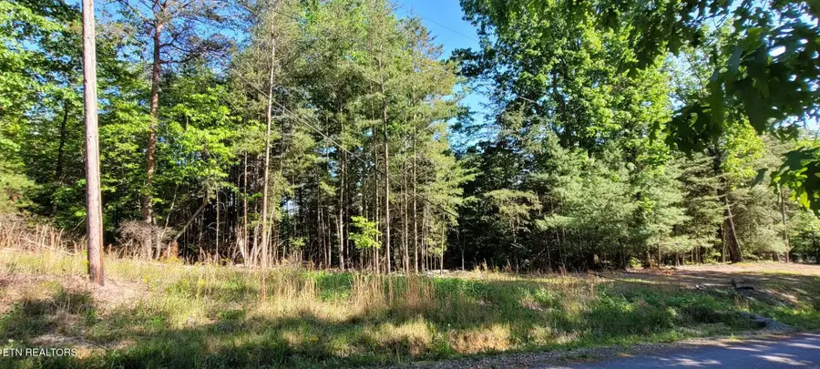 1.23 Acres Dogwood Court, Spring City, TN 37381 - #2
