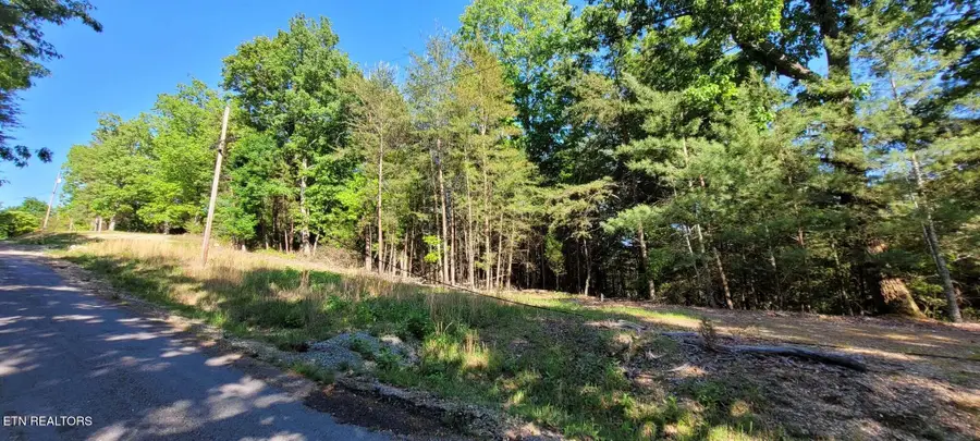 1.23 Acres Dogwood Court, Spring City, TN 37381 - #3