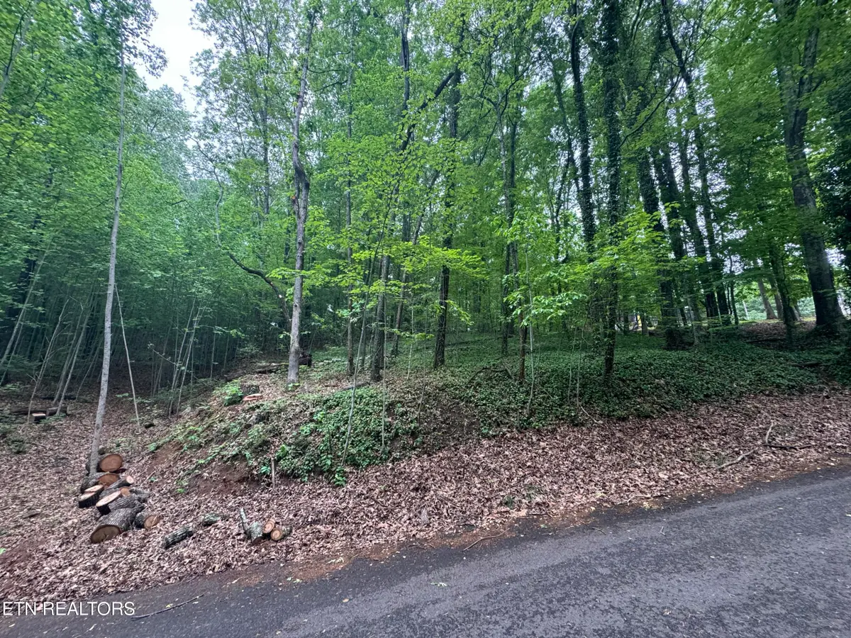 6816 Reddege Rd, Knoxville, TN 37918 - #1