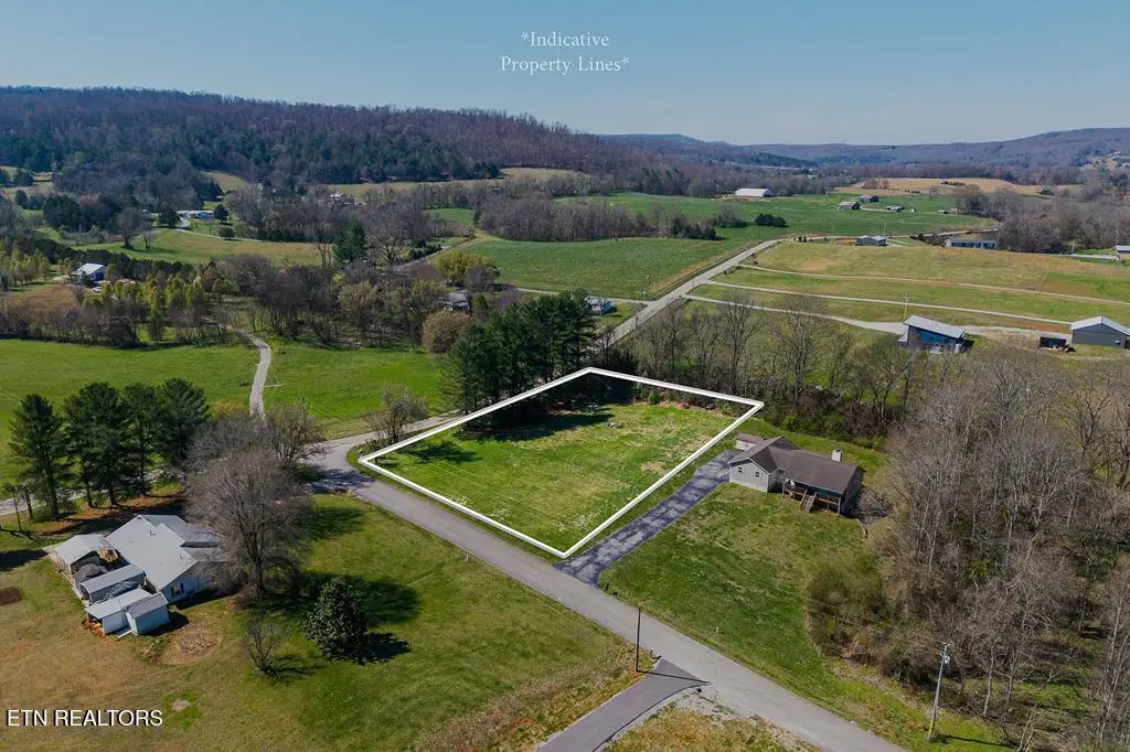 668 Webbs Camp Rd, Walling, TN 38587 - #1