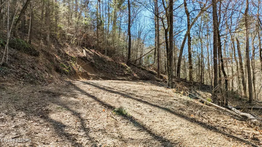 Carrs Creek Rd, Townsend, TN 37882 - #2