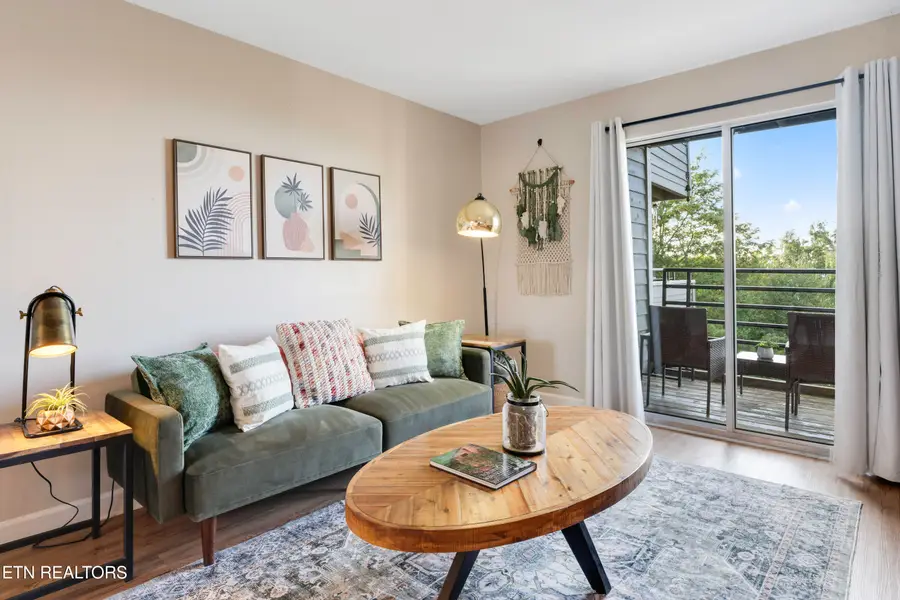 1260 Ski View Drive #APT 4204, Gatlinburg, TN 37738 - #2