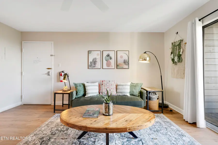 1260 Ski View Drive #APT 4204, Gatlinburg, TN 37738 - #3