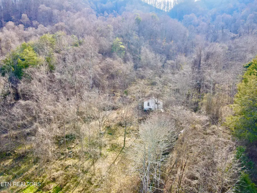 TBD Rufus Coffey Lane, Thorn Hill, TN 37881 - #2