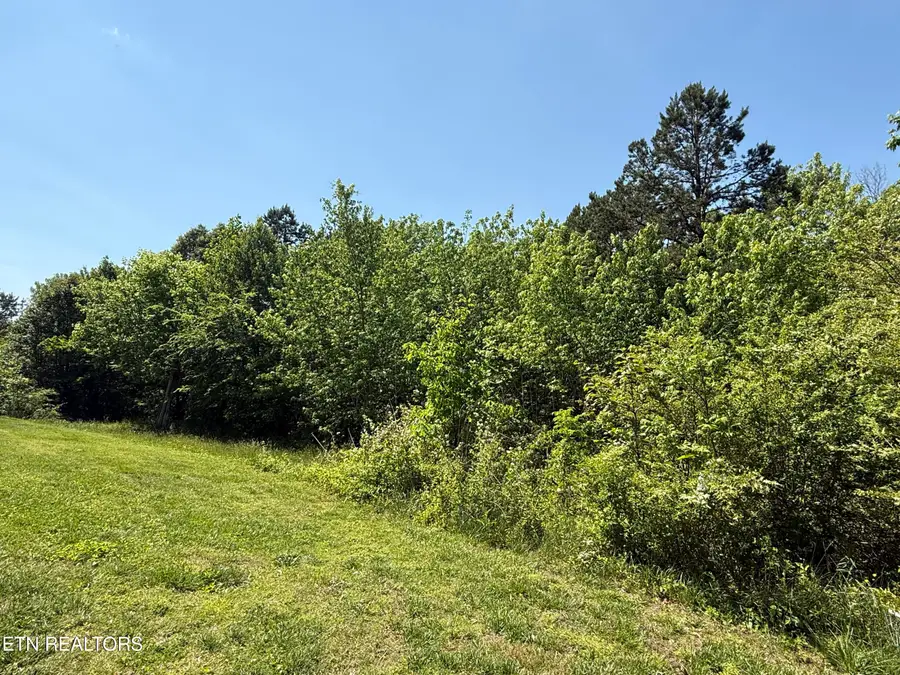 2535 Steekee School Rd, Loudon, TN 37774 - #3