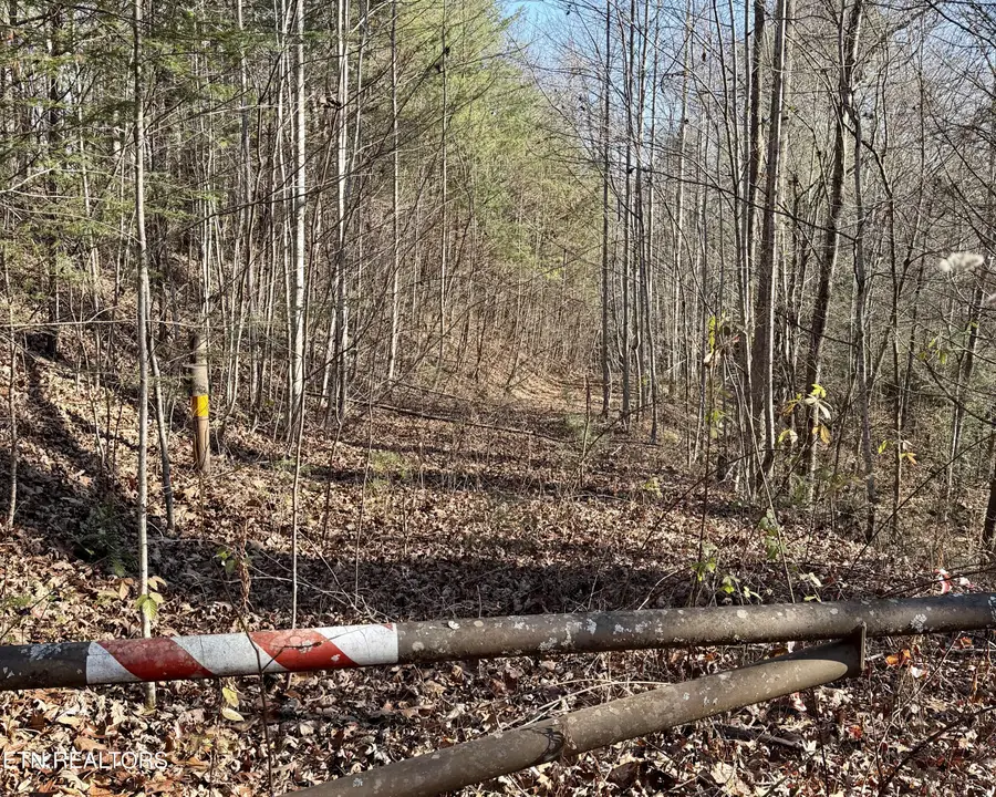 0 River Rd, Tellico Plains, TN 37385 - #2