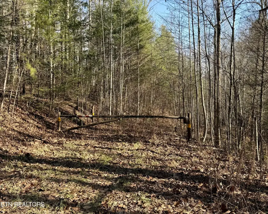 0 River Rd, Tellico Plains, TN 37385 - #3