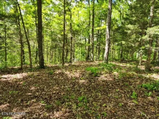 10.13ac Forest Trails Lane, Celina, TN 38551 - #1