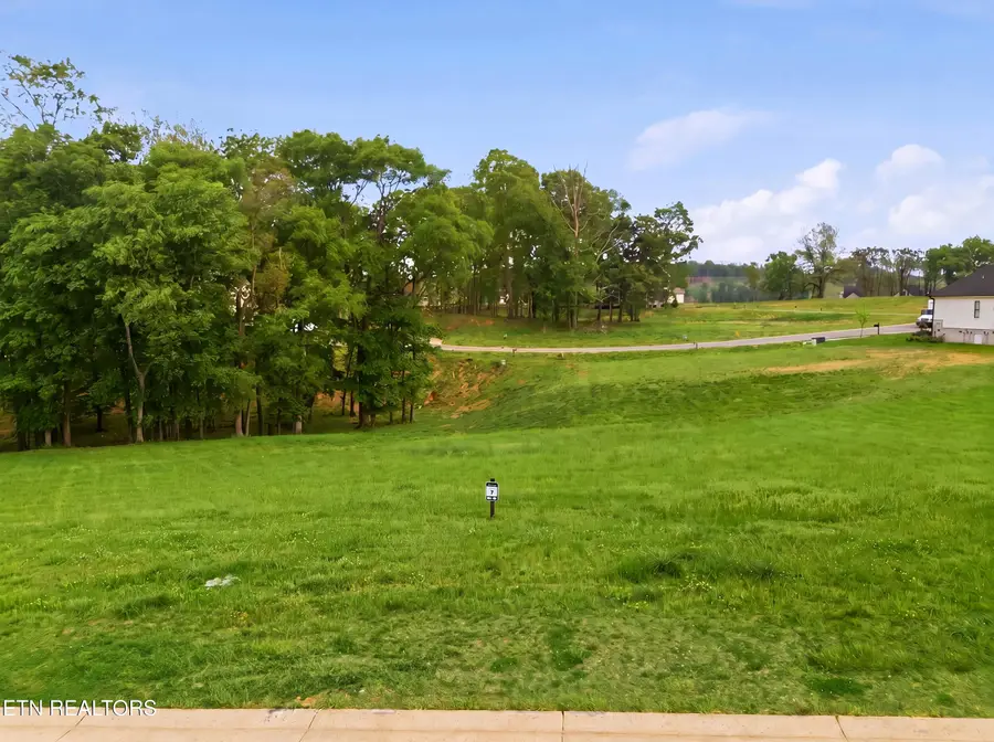 3852 Persimmon Ridge, Loudon, TN 37774 - #2