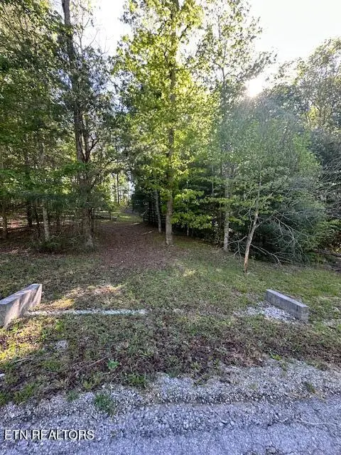 500 Spruce Creek Drive, Jamestown, TN 38556 - #3