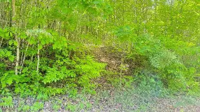 Crestwood Drive, Speedwell, TN 37870 - #2