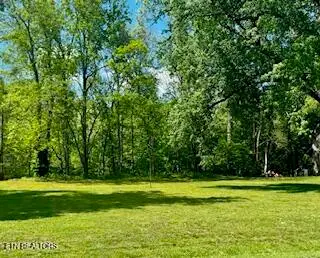 Riverview Rd, Townsend, TN 37882 - #2
