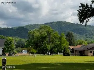 Riverview Rd, Townsend, TN 37882 - #3