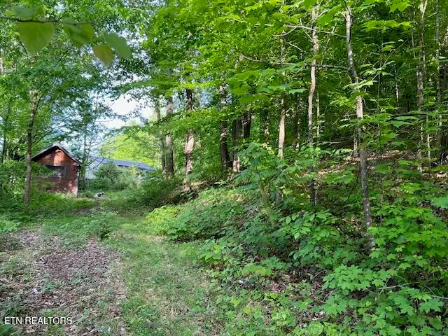 S Rogers South Rd #2r2, Seymour, TN 37865 - #1