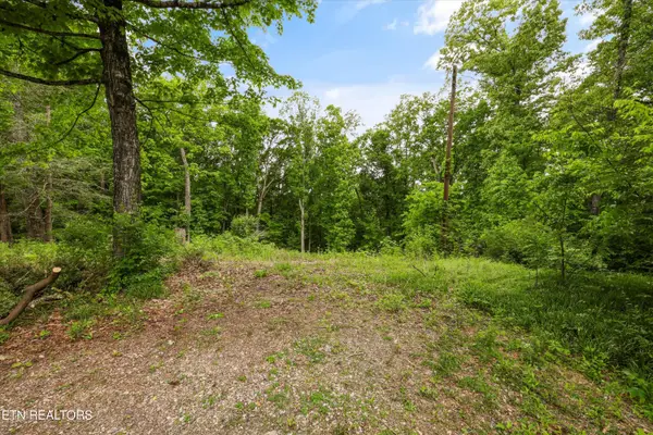 2915 Curtis Lane, Knoxville, TN 37918