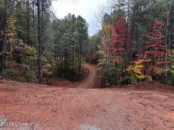 Ballplay Road Lot 30, Madisonville, TN 37354