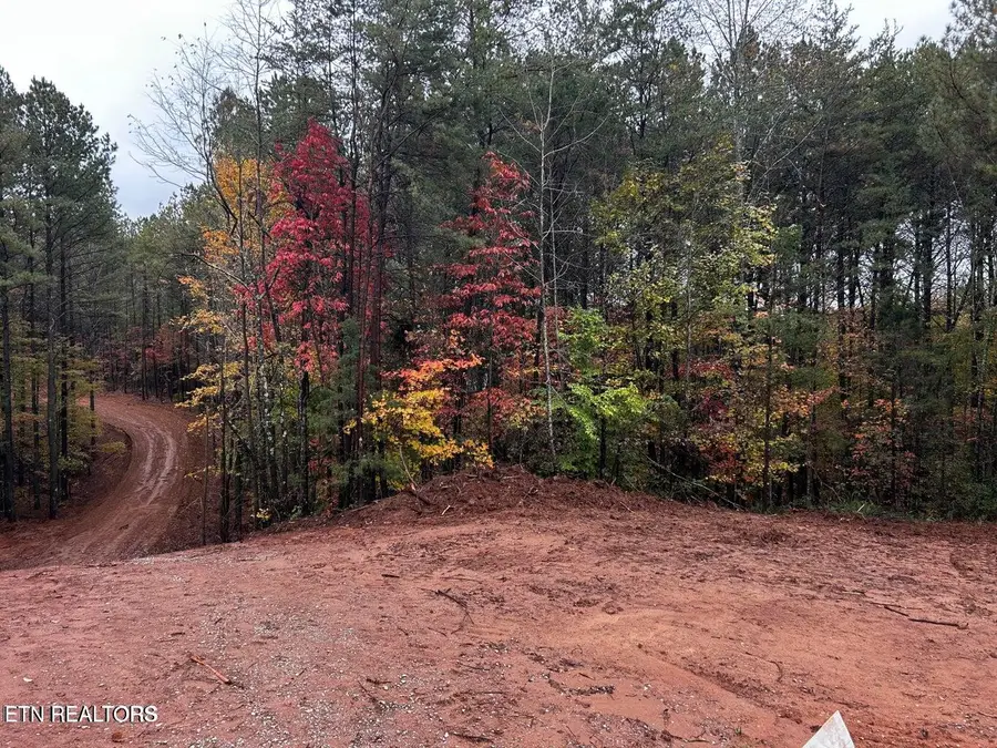 Ballplay Road Lot 30, Madisonville, TN 37354 - #3