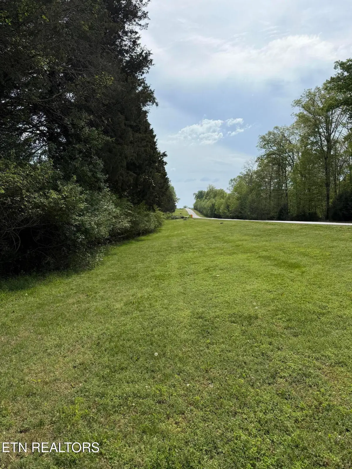203 W Shore Drive, Rockwood, TN 37854 - #1