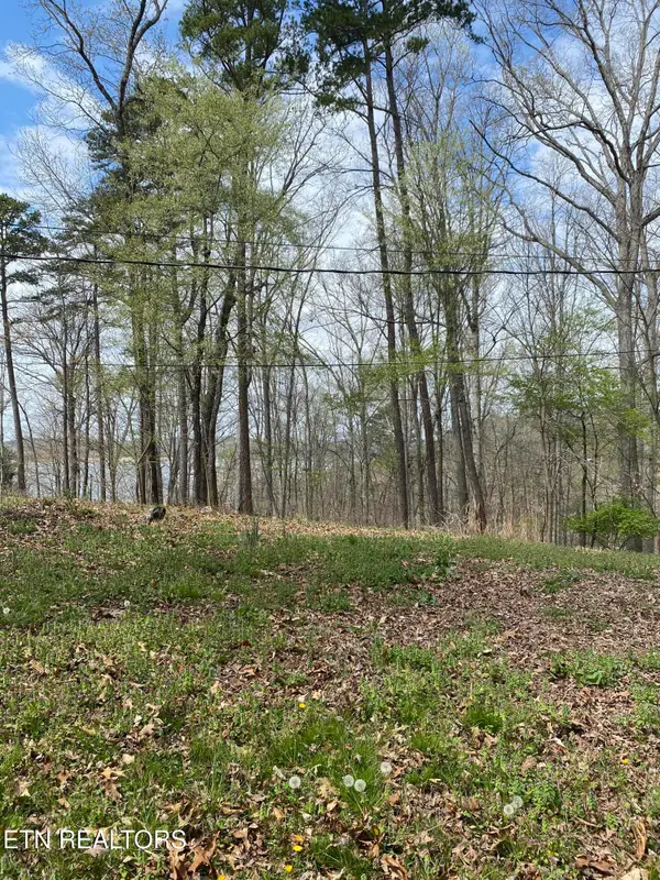 Lot 429 Mayflower Lane, Dandridge, TN 37725