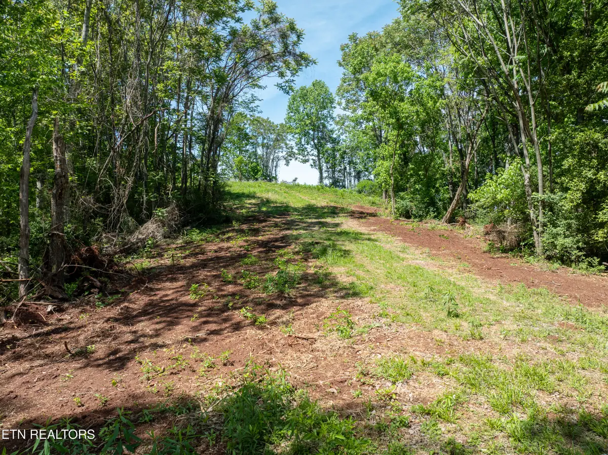 13389 Meadow Rd, Lenoir City, TN 37772 - #1