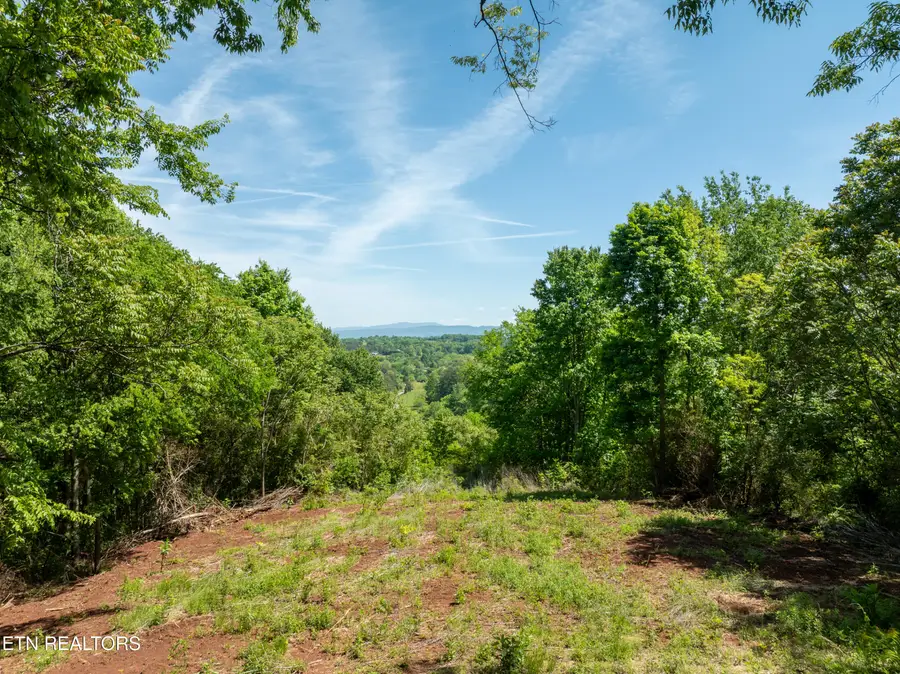 13389 Meadow Rd, Lenoir City, TN 37772 - #2