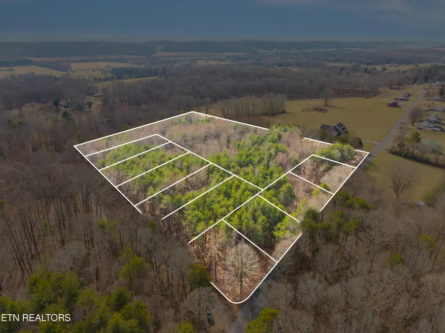 County Rd. 260, Niota, TN 37826 - #2