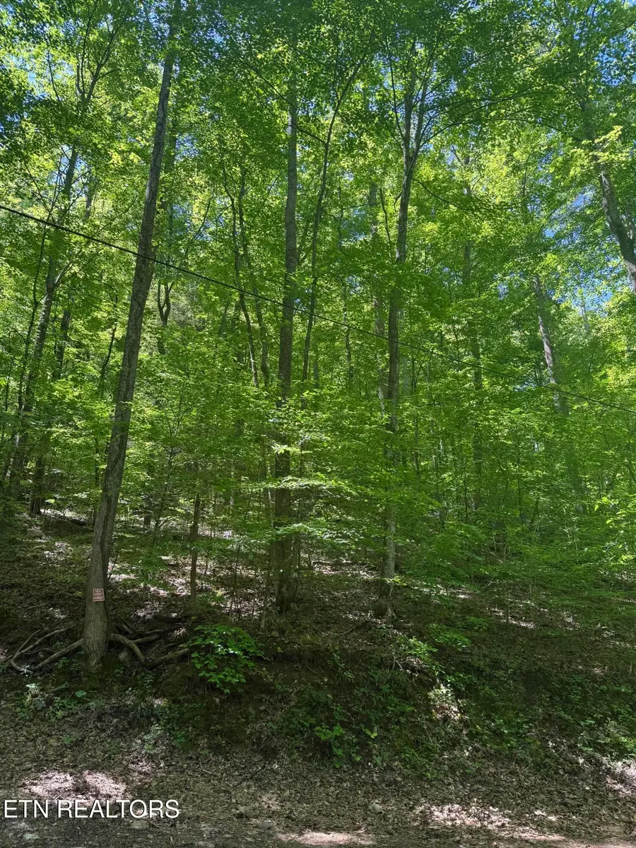 White Oak Lane, Caryville, TN 37714 - #2