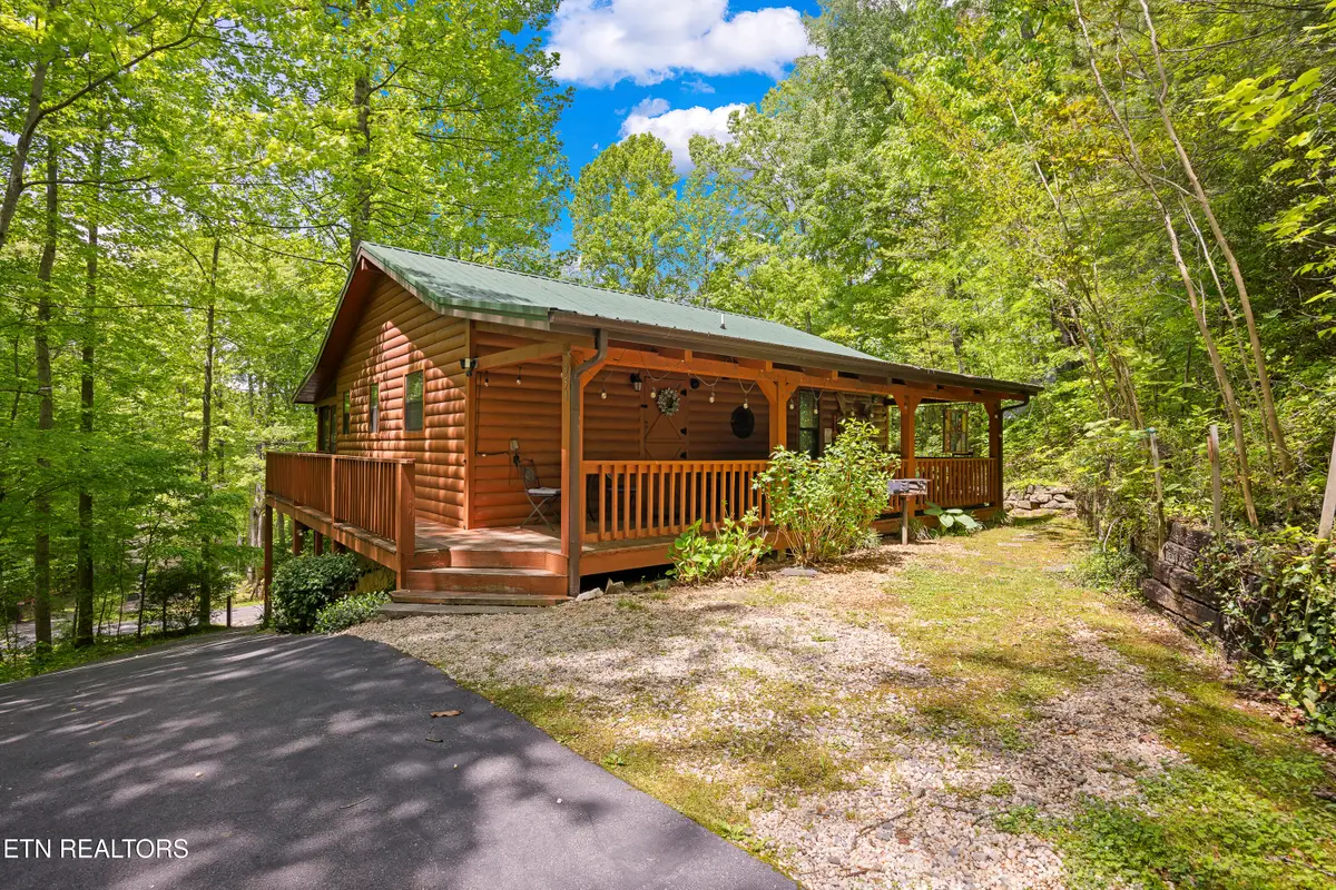 951 Emilyville Way, Cosby, TN 37722 - #1