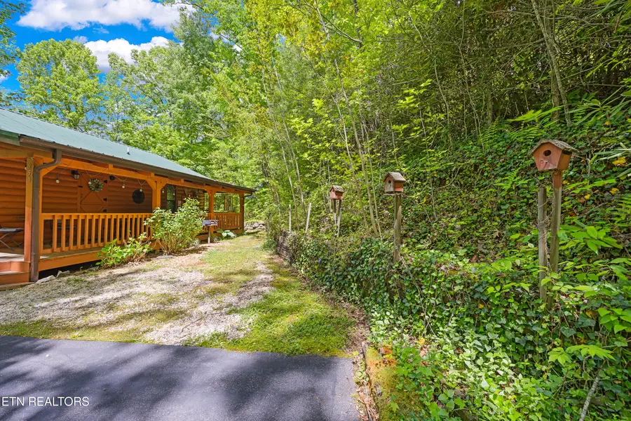 951 Emilyville Way, Cosby, TN 37722 - #2