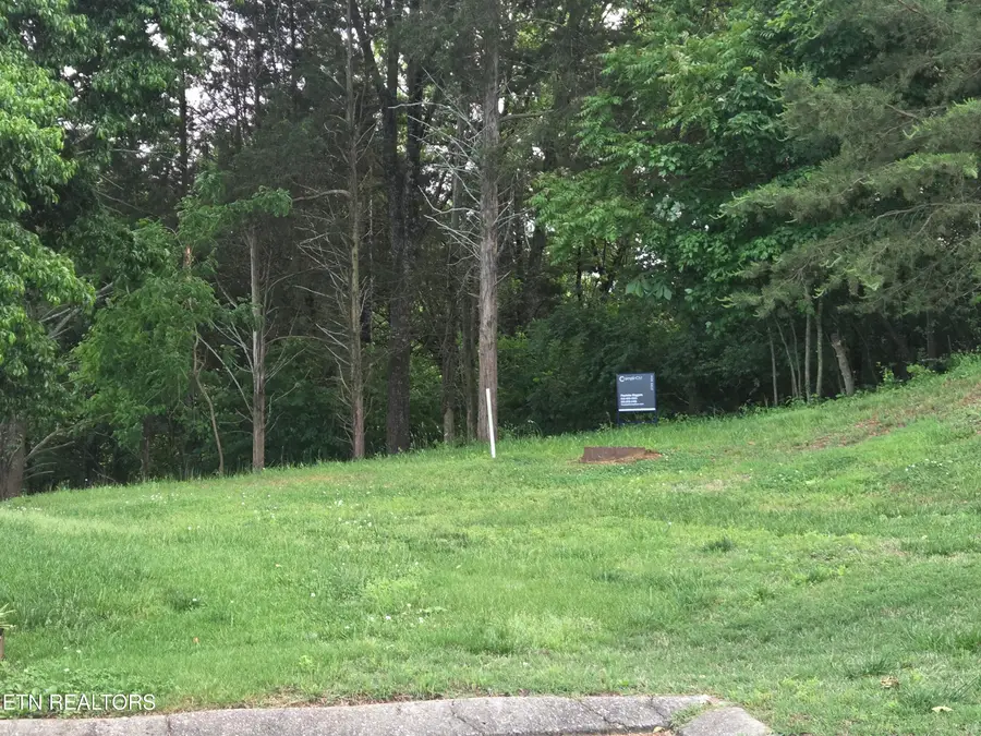 2417 Riverview Rd, Lenoir City, TN 37771 - #2