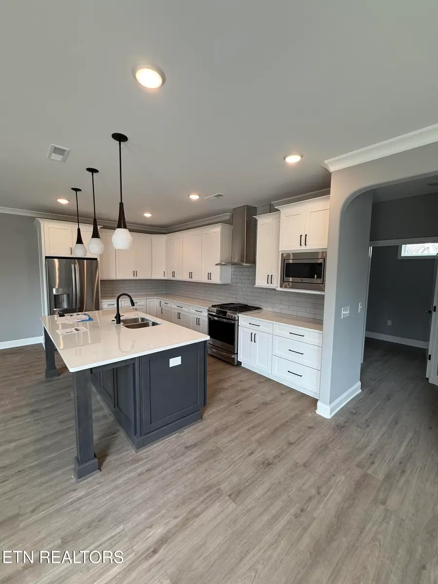 178 River Birch Drive, Lenoir City, TN 37771 - #2