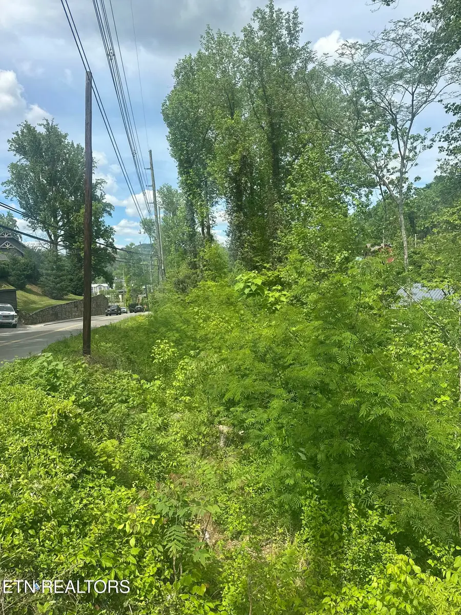 519 Cherokee Orchard Rd, Gatlinburg, TN 37738 - #2