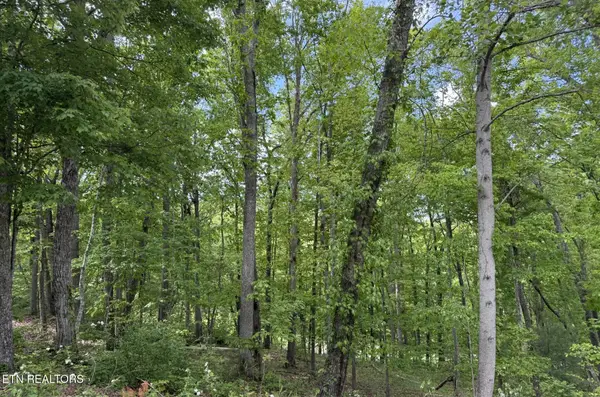 21 Claremont Circle, Crossville, TN 38558