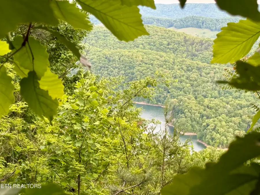 211 Blackstone Lane #Lot 681R, New Tazewell, TN 37825 - #3