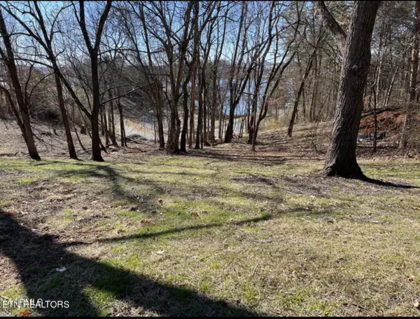 300 Southshore Drive, Greenback, TN 37742