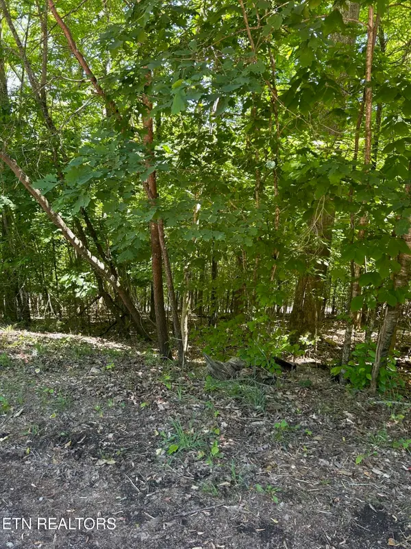 lot 63 Stoney Rock Lane, Jacksboro, TN 37757