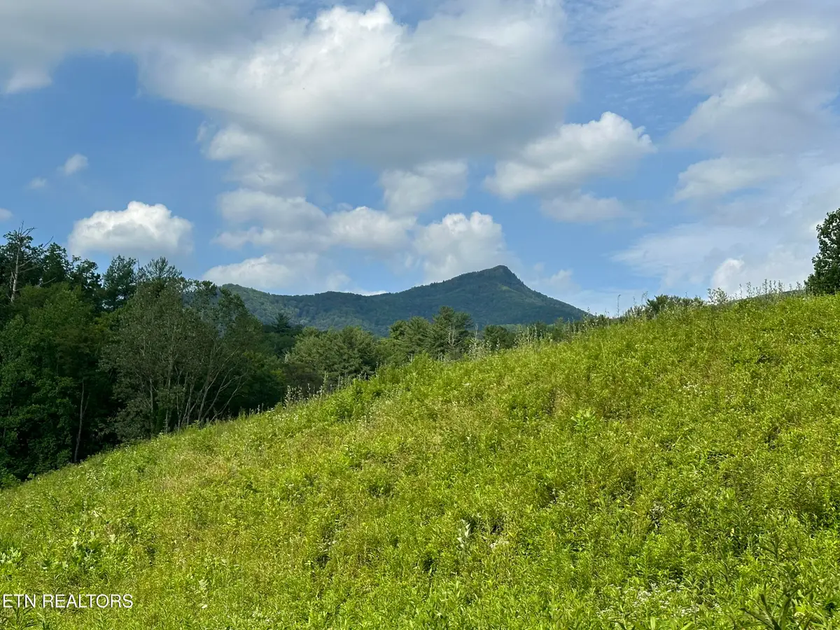 0 Barnes Hollow Rd, Cosby, TN 37722 - #1