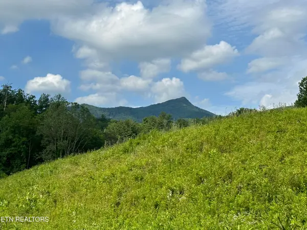 0 Barnes Hollow Rd, Cosby, TN 37722