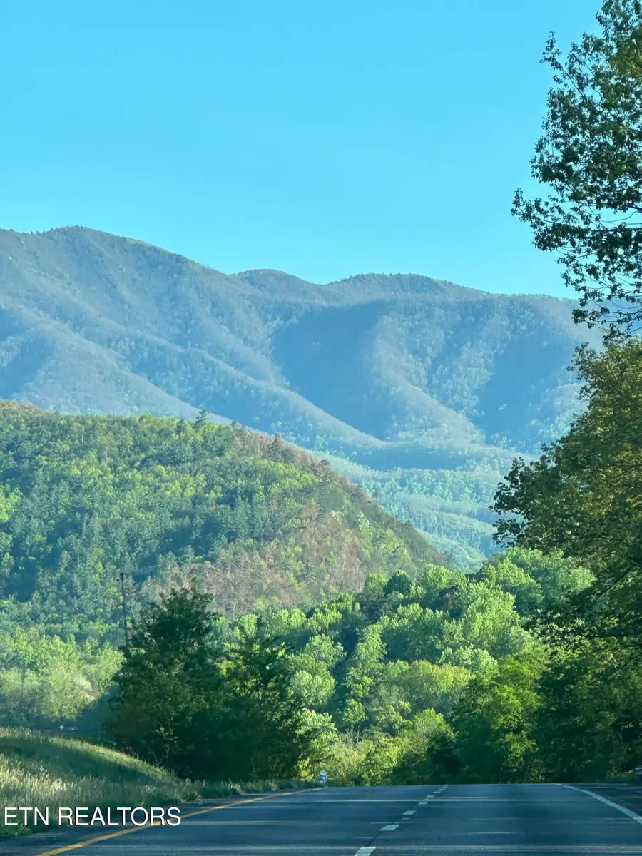 0 Barnes Hollow Rd, Cosby, TN 37722 - #2