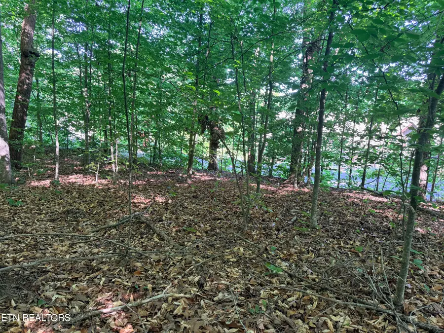 Lot 74, Norris Shores Drive, Sharps Chapel, TN 37866 - #2