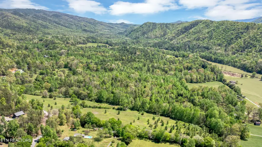 418 E Millers Cove Rd, Walland, TN 37886 - #3