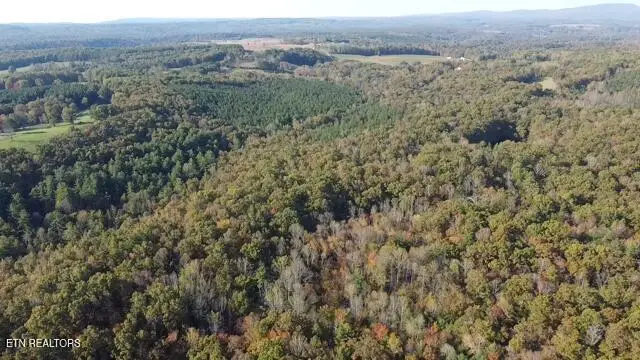 42+- Acres Dogwood Rd, Grandview, TN 37337 - #1