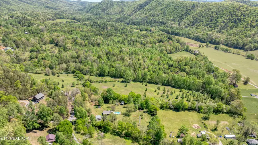 444 E Millers Cove Rd, Walland, TN 37886 - #3